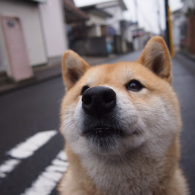 熊猫体育app下载-_体育经济学：大满贯赛事带动地方经济繁荣_，中国体育大满贯