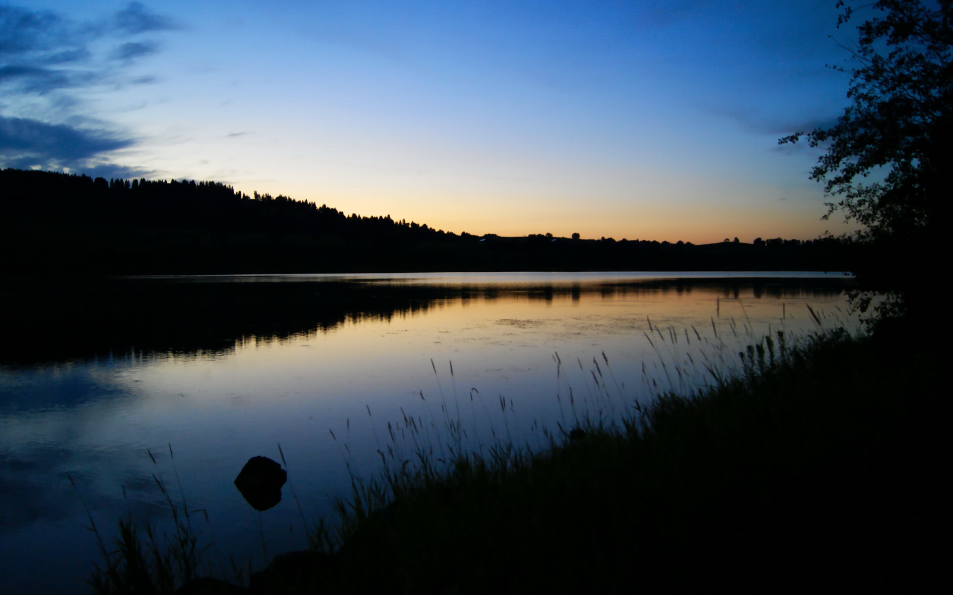 _生态自行车园：绿色出行与自然亲密接触_，生态园自助餐厅怎么样