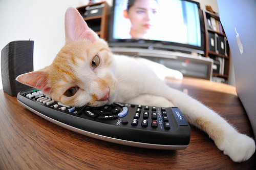 “西甲明星轰动全场，带领球队奋勇前行”，西甲明星都有哪些