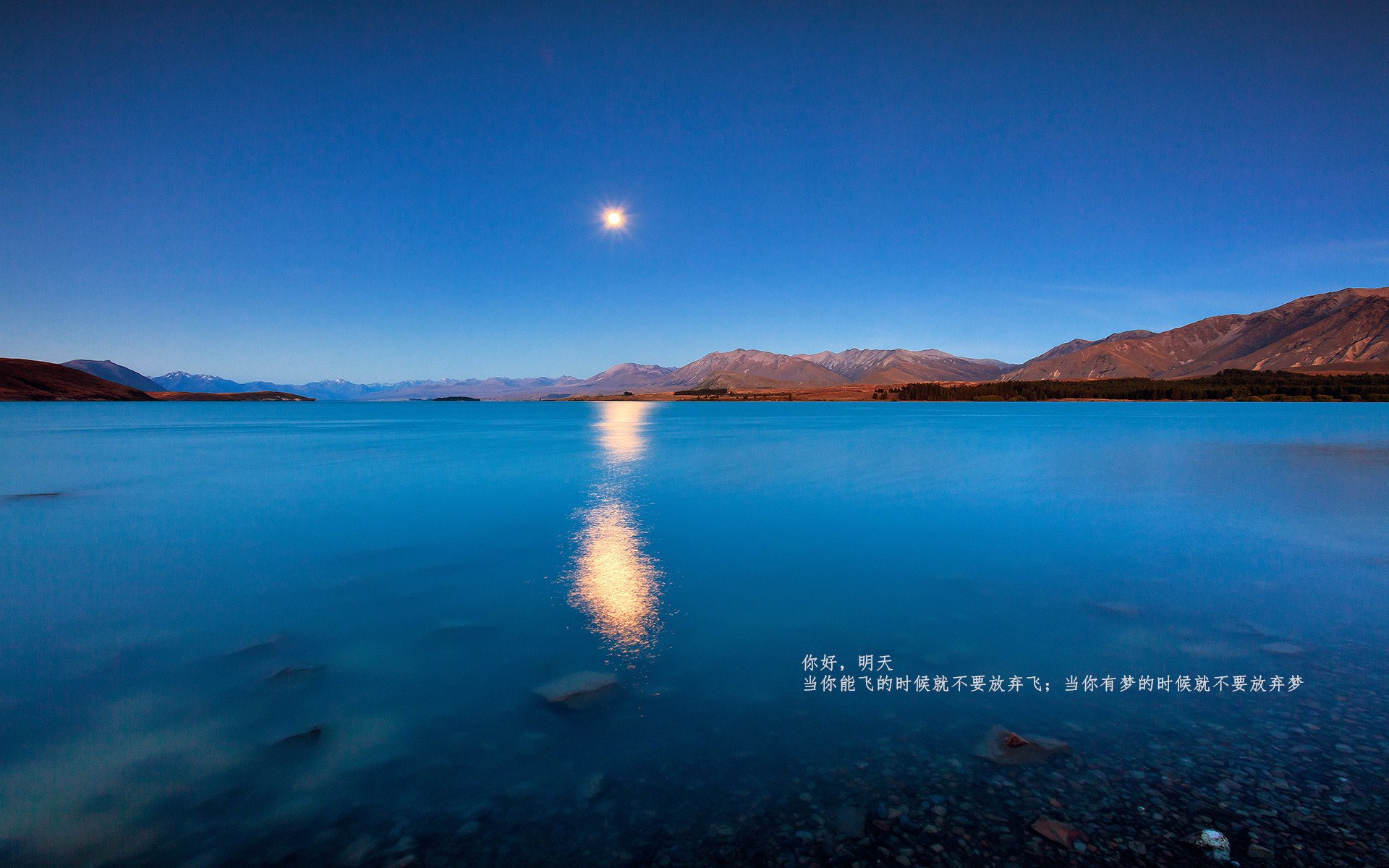 熊猫体育娱乐-中国足球入场券销售新策略，推进全民参与，一场足球赛的入场券30元一张,降价后观众增加了50%