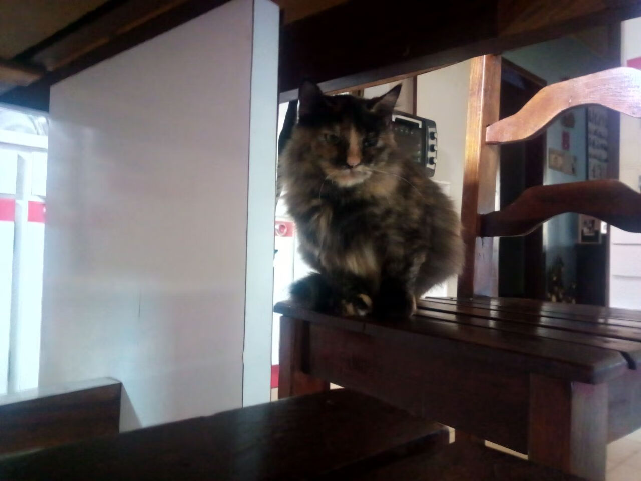 塞内加尔骑手马马杜·巴在非洲马术锦标赛后宣布退役，结束辉煌的职业生涯。