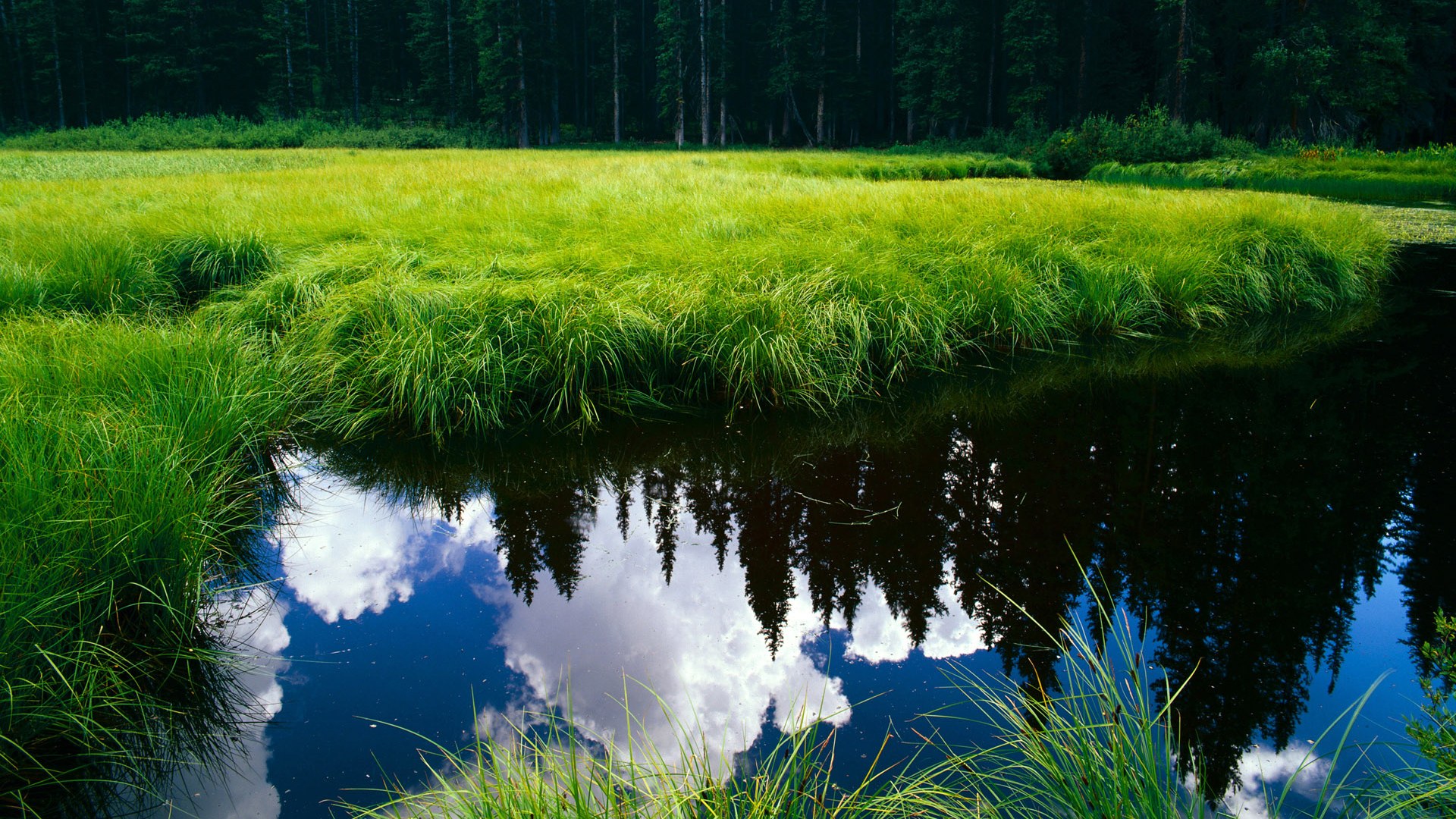 熊猫体育在线官网-女子排球亚洲杯中国队成功卫冕，实力强劲，2021年女排亚洲杯