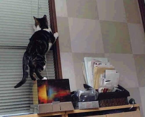 熊猫体育官网-法甲“青年军”崛起，比赛更加精彩纷呈，法甲青训排名