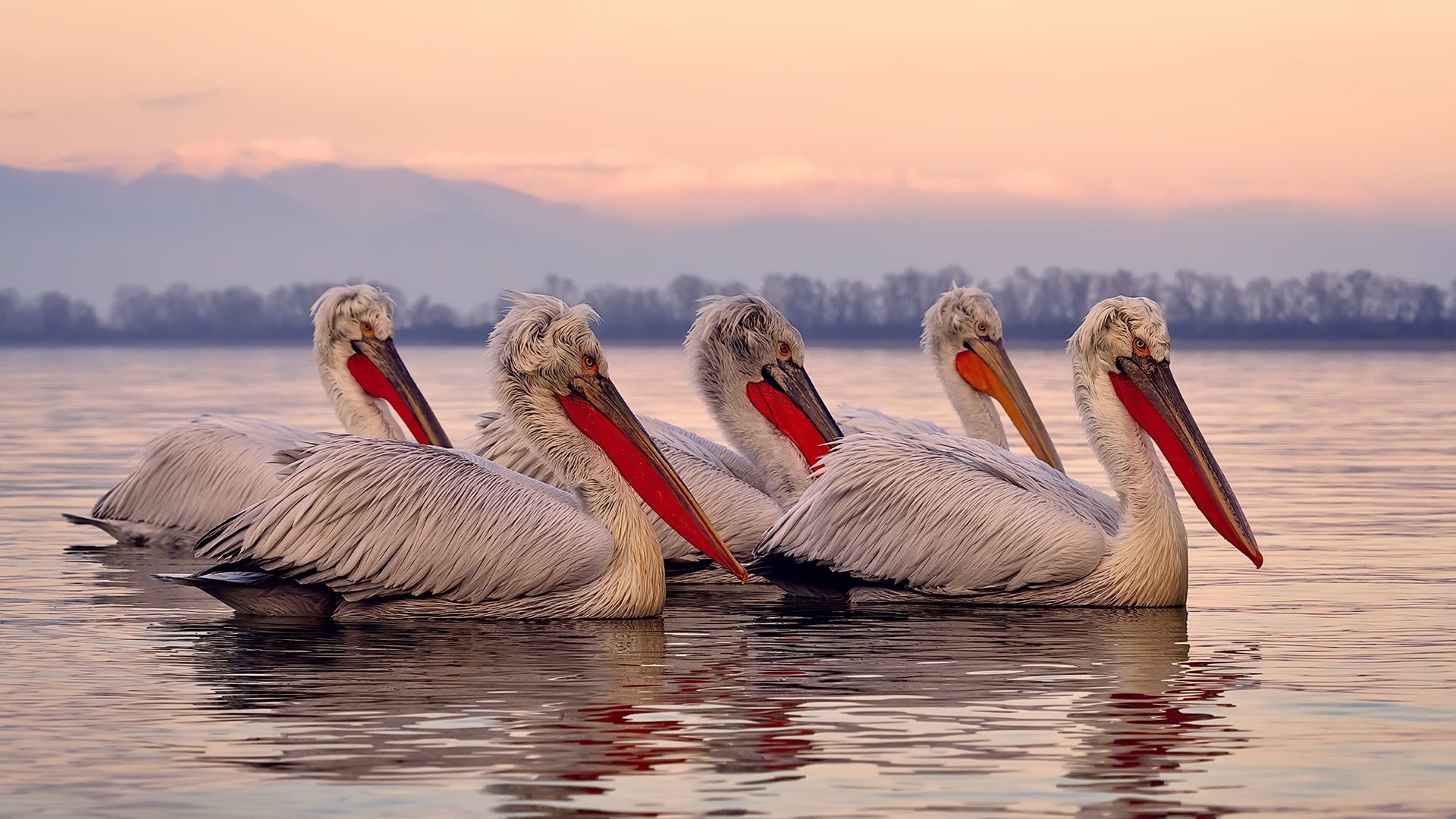 特色足球场馆设计获国家奖项,彰显文化自信,足球场馆名字