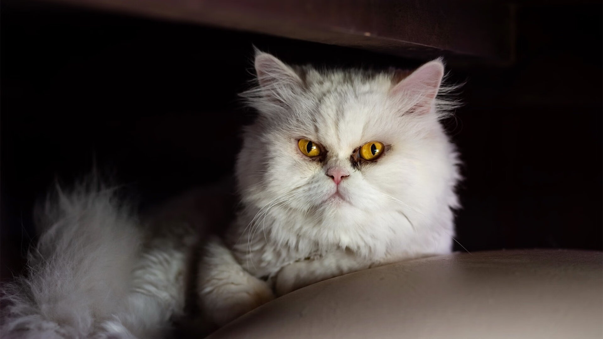 球场“固若金汤”：冠军之师的防守秘密