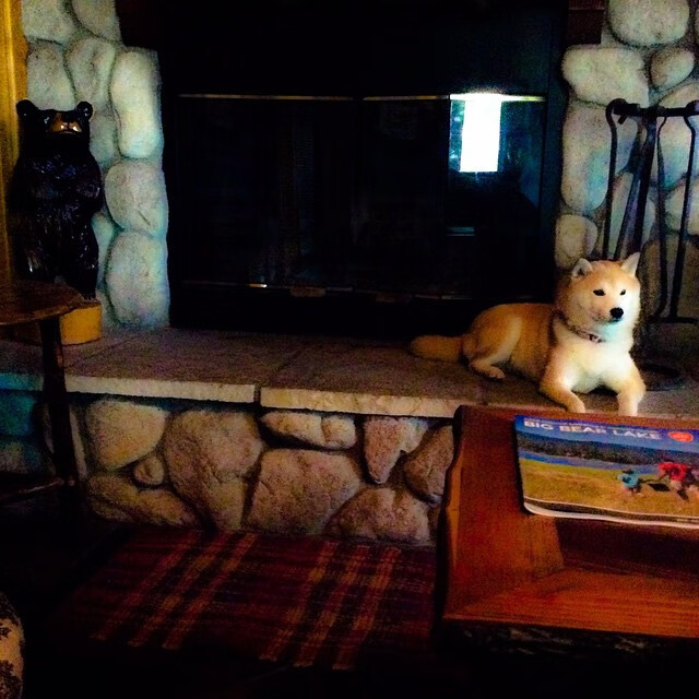 篮球公益项目助力贫困地区体育发展，篮球公益活动方案