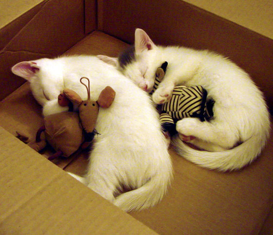 熊猫体育官网-经典战役：那些年我们共同追忆的精彩比赛，经典战役绘画