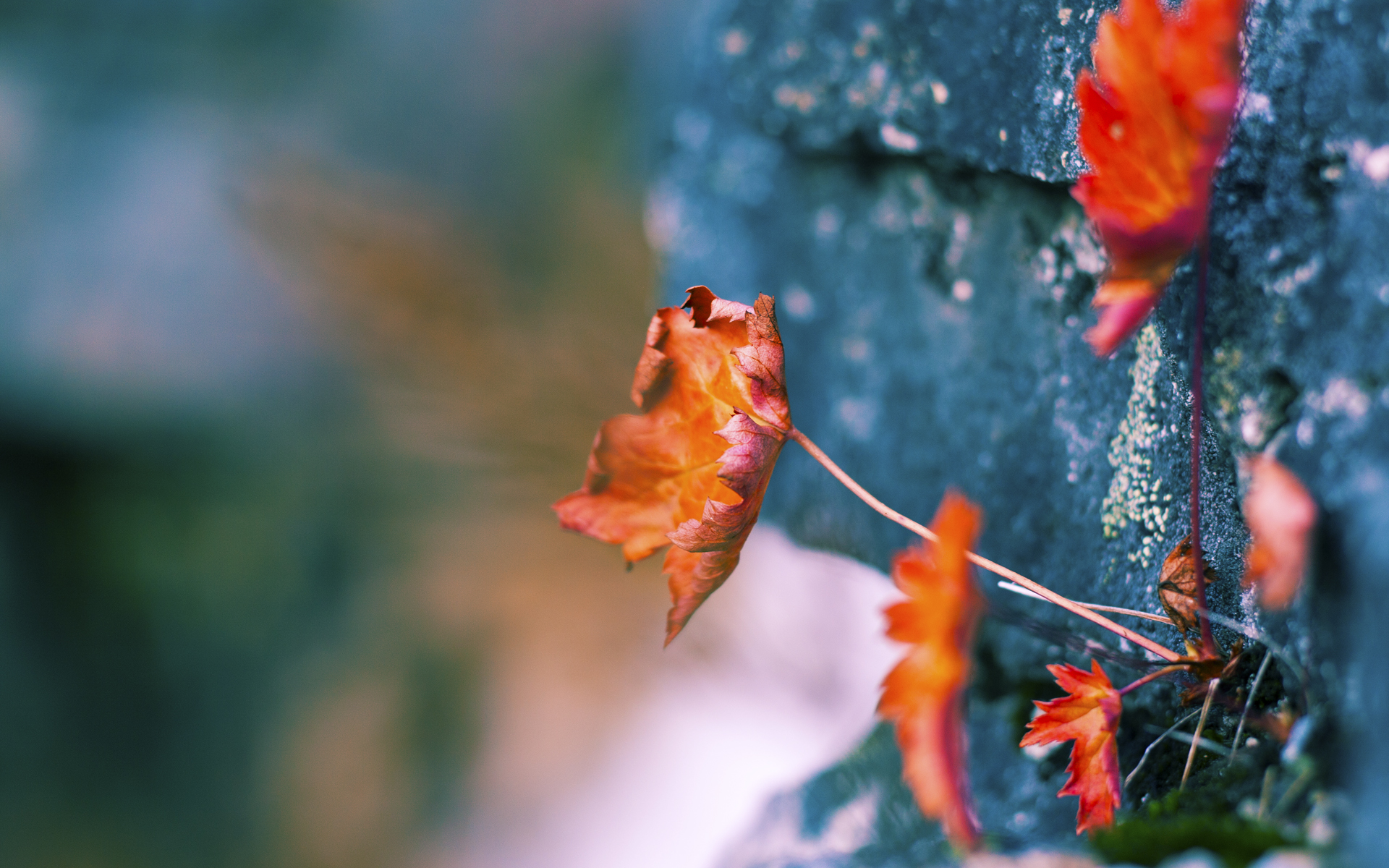 绝地求生 线上赛事观看人数创新高，绝地求生比赛还能持续多久