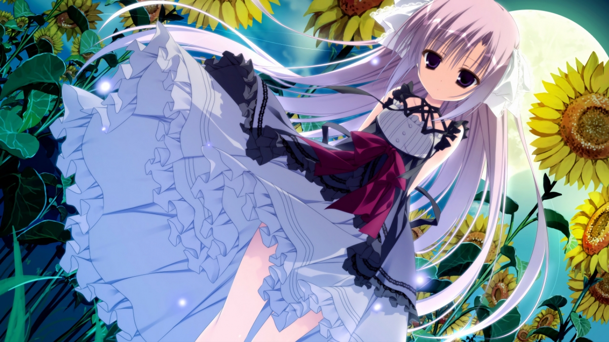 荷兰马术队在巴黎奥运会障碍赛团体决赛中获得第五名，展现强大实力。