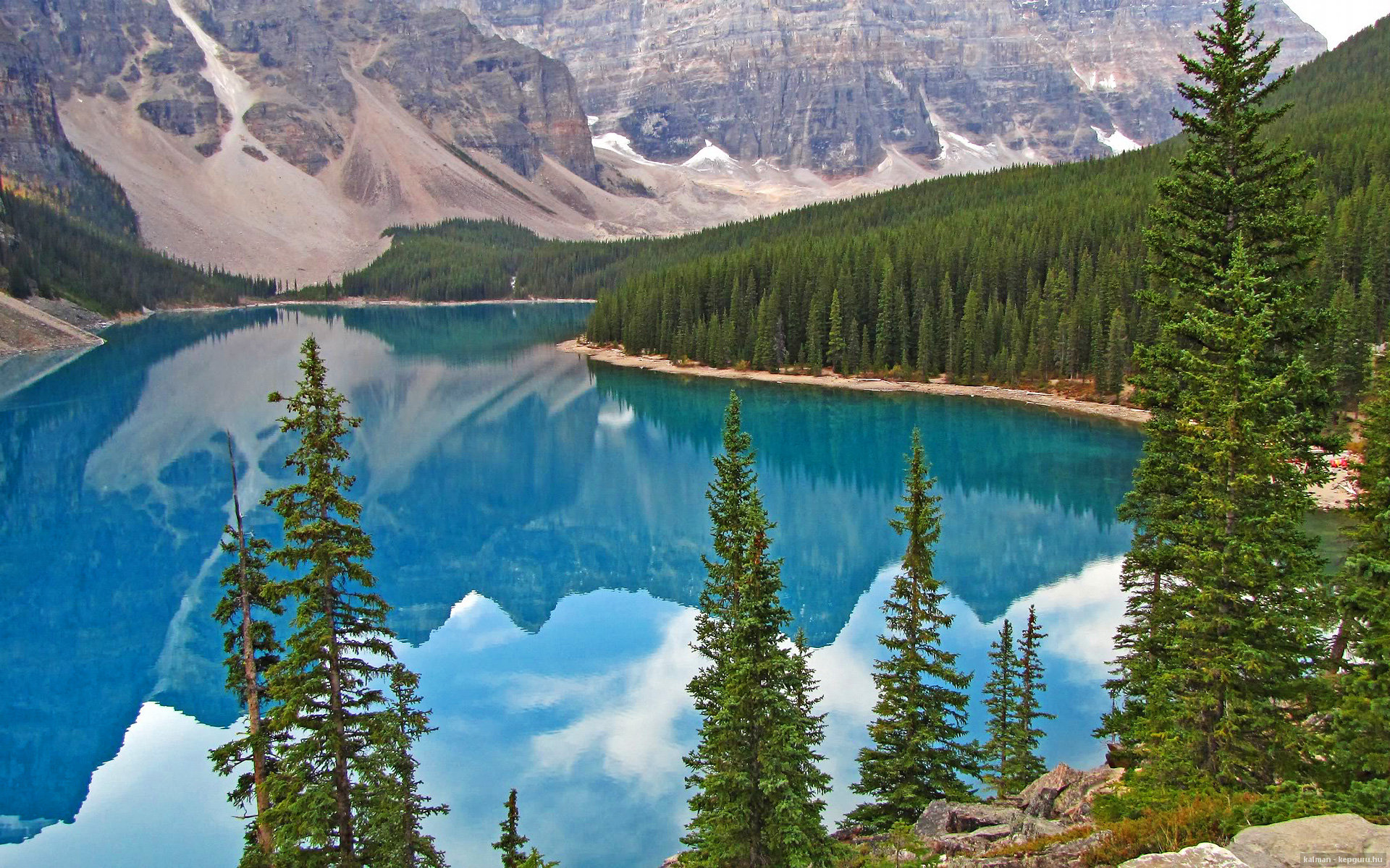 熊猫直播-西班牙夺银后社媒刷屏：虽败犹荣，西班牙cid