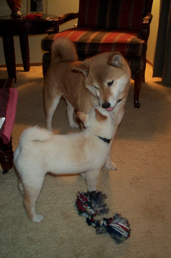 Evil Geniuses逆转晋级季后赛，逆转wiki