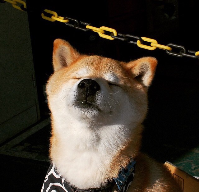 熊猫体育平台安全-LCK赛季总结及展望，lck新赛季阵容