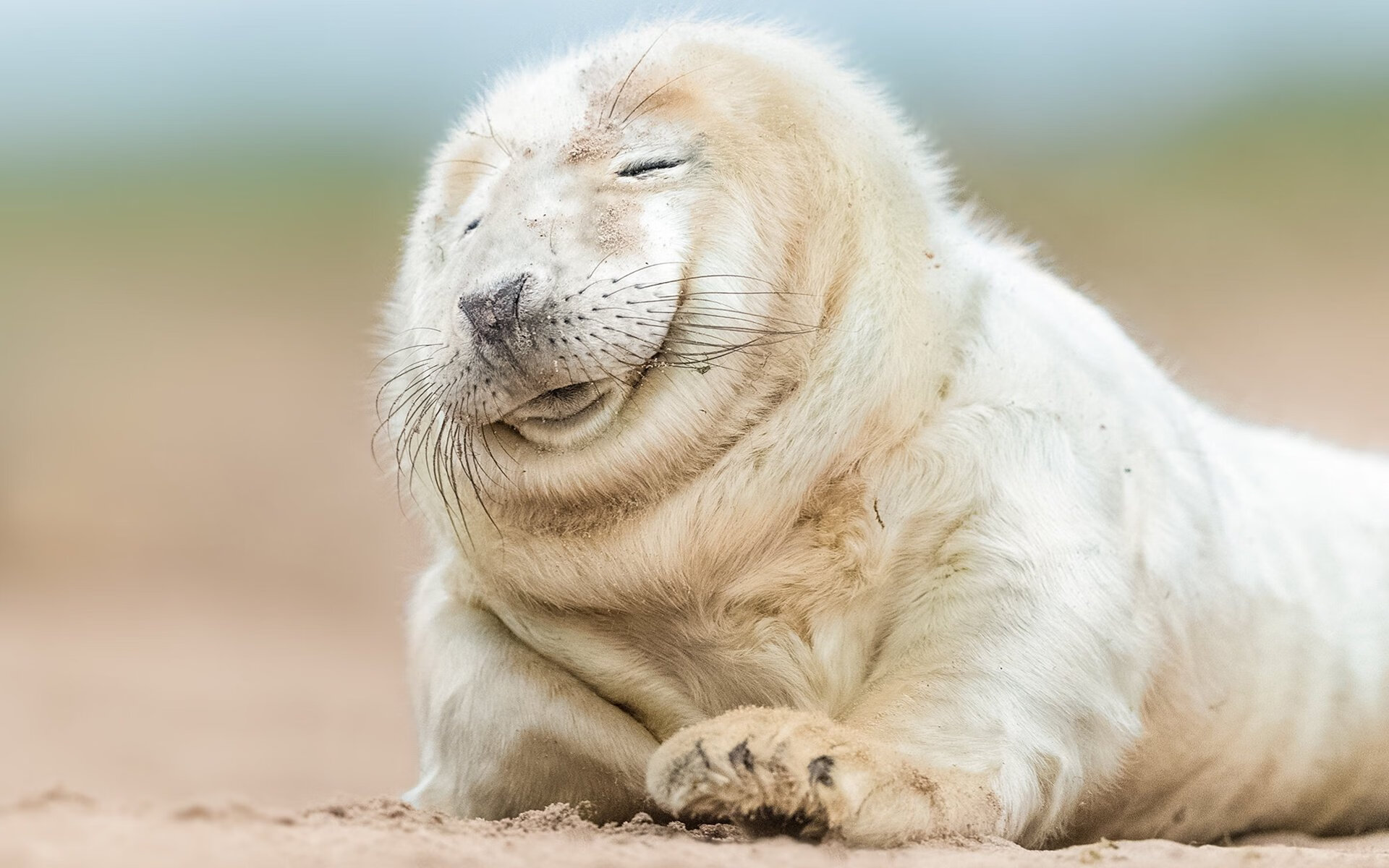 波兰惊险获胜,晋级形势蒸蒸日上,波兰ht