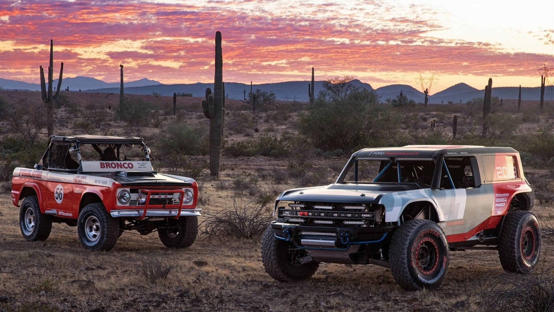 熊猫体育网站入口-法国队夺冠高手，期待成为劲旅，法国队夺冠热门