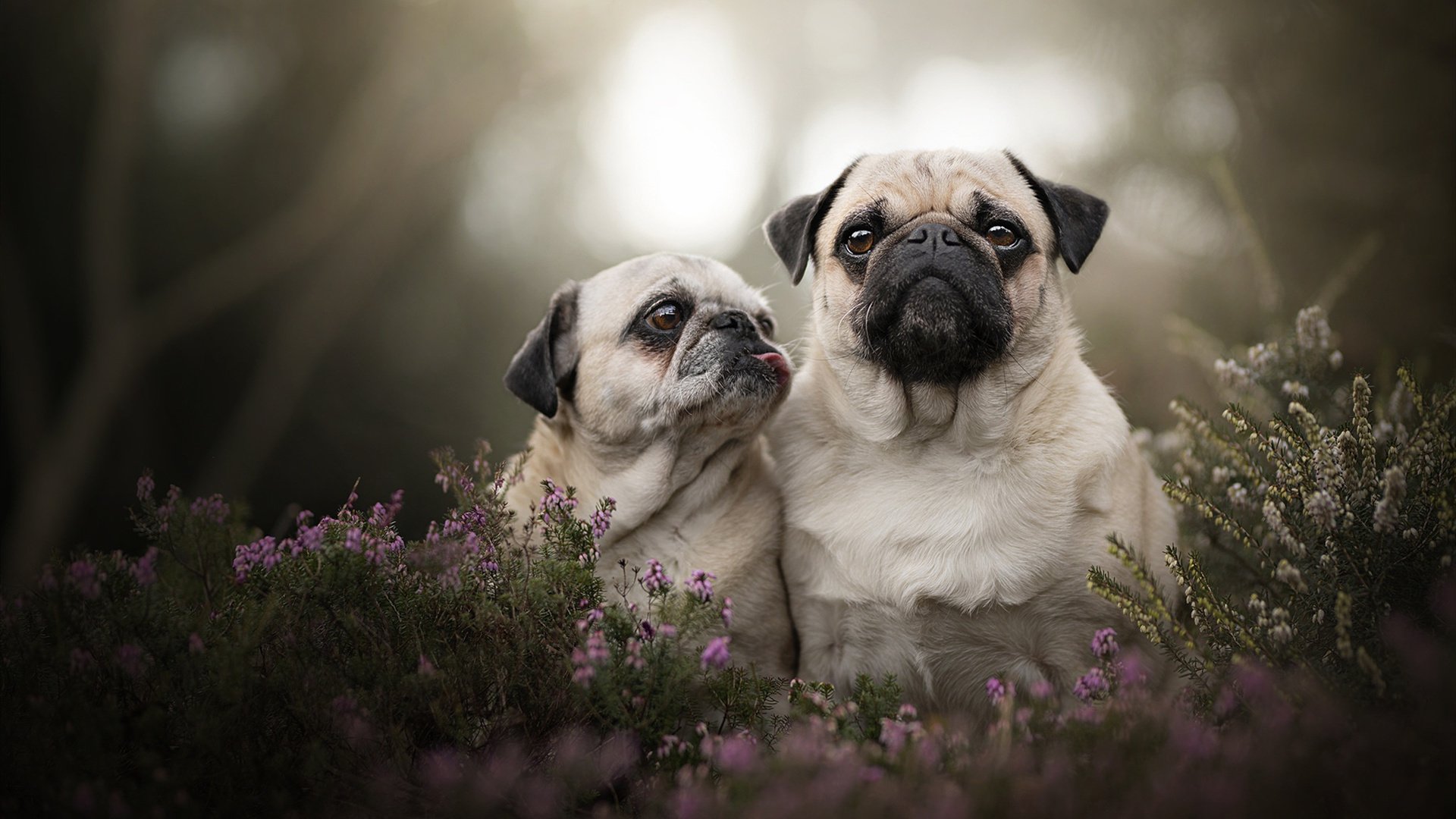 足球豪强再度碰撞，强强对话场面火爆，足球强队取胜的108招操盘