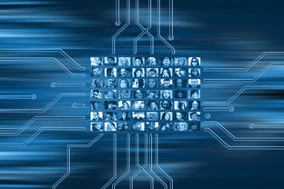 熊猫体育在线-NBA联盟市场营销策略的数字化转型，nba营销策略分析论文