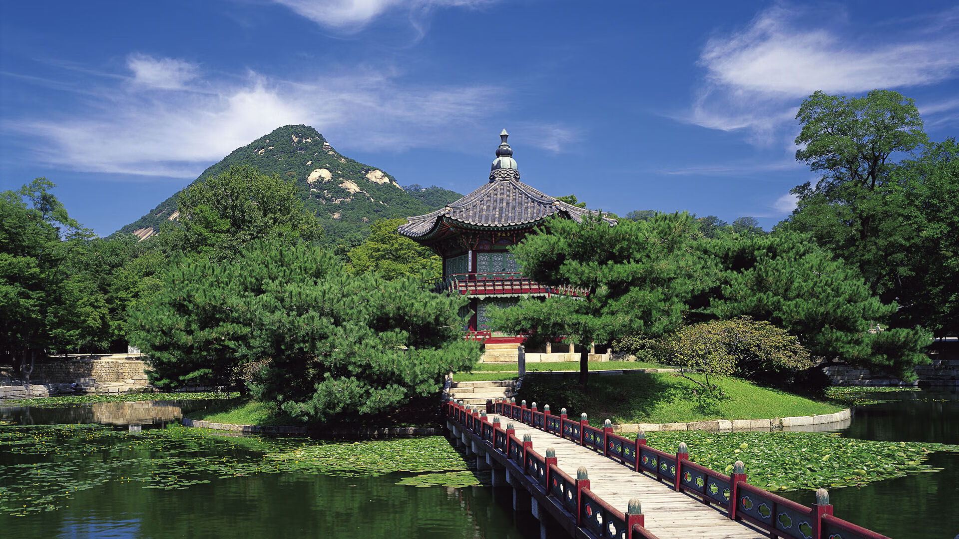 世界青年跳水锦标赛中国队实力强劲，世界跳水大赛