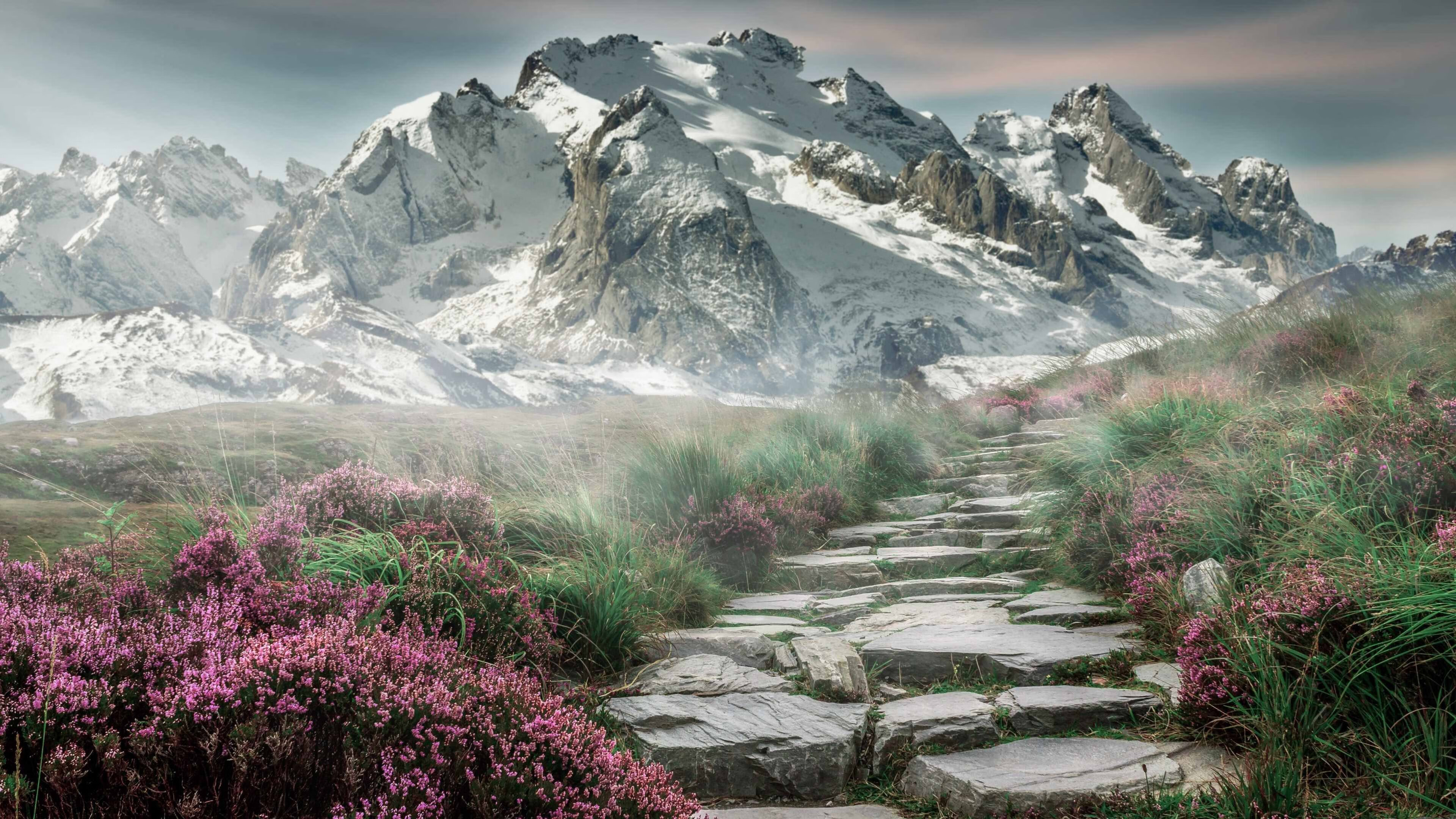 中国篮球青少年篮球发展政策落实与推广策略研究,青少年篮球培训市场现状