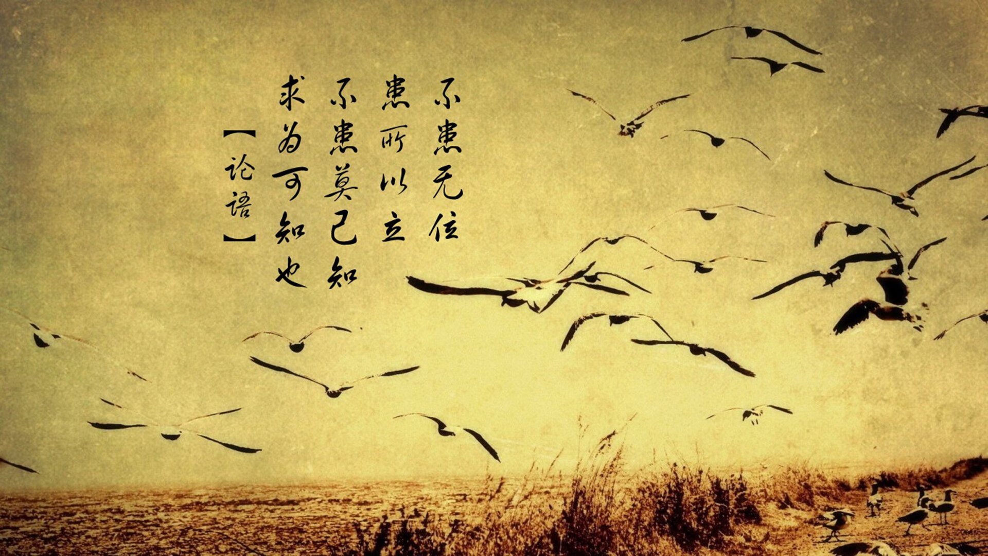 区域体育发展专项资金绩效管理体系建设研究，体育产业发展专项资金