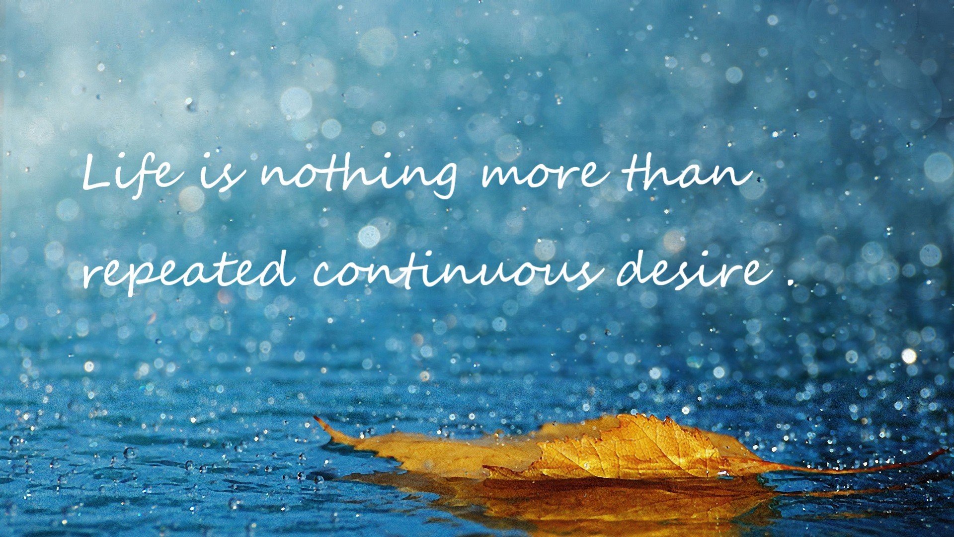 熊猫体育平台-意甲VAR语义分析模型对语境冲突的自动识别率分析