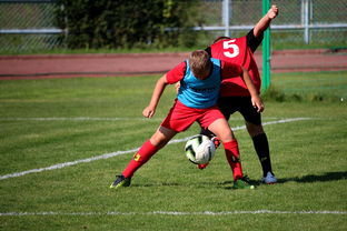 熊猫体育全站-篮球运动员训练负荷监控系统开发与应用研究，篮球运动员运动负荷量