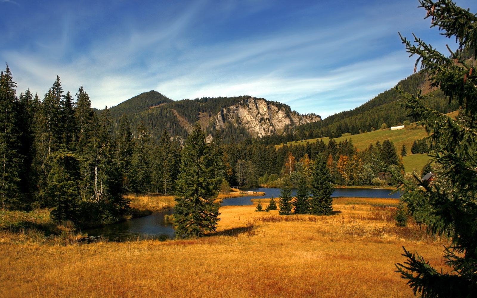 博卡强调控制节奏，提升传控效率，博卡怎么样
