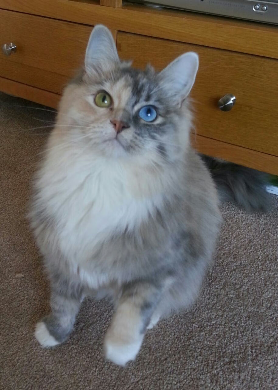 莱比锡红牛前场站位激活进攻层次，莱比锡红牛战术特点