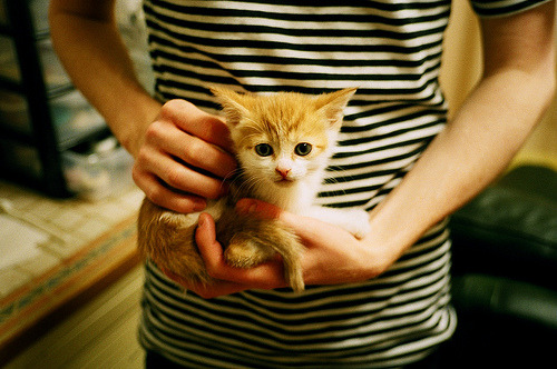 熊猫体育网站入口-防守反击球队是否更适应五大联赛下半赛季节奏，防守反击什么意思