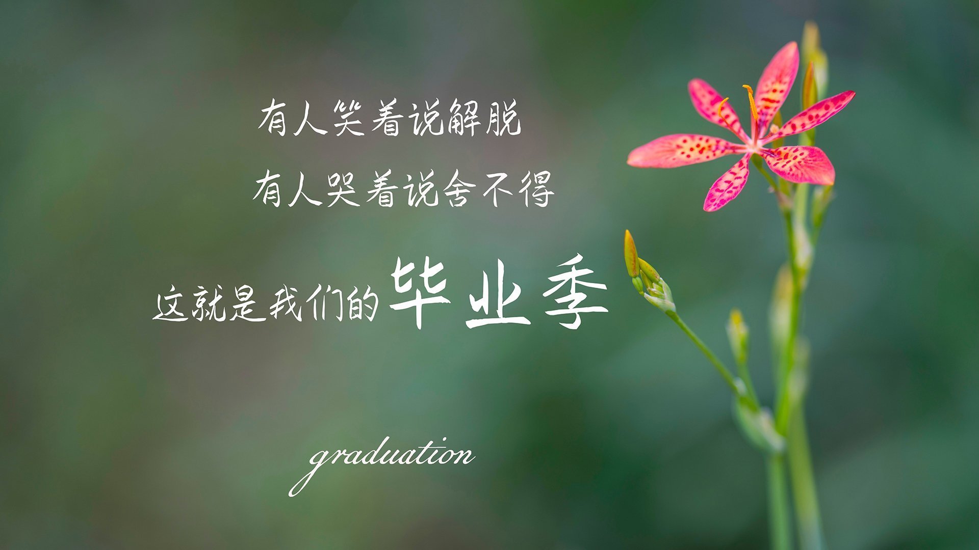 熊猫体育APP-中国足球联赛打造多元化球迷互动周边产品，足球队 中国