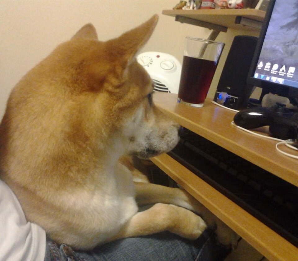 中国足球联赛打造多元化球迷互动周边产品，足球队 中国