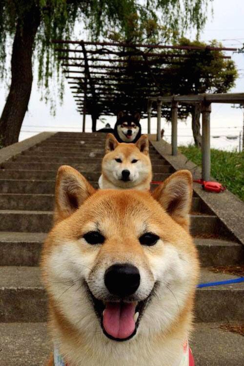 熊猫体育网页版-中甲球队通过球员自评机制加强训练反馈机制