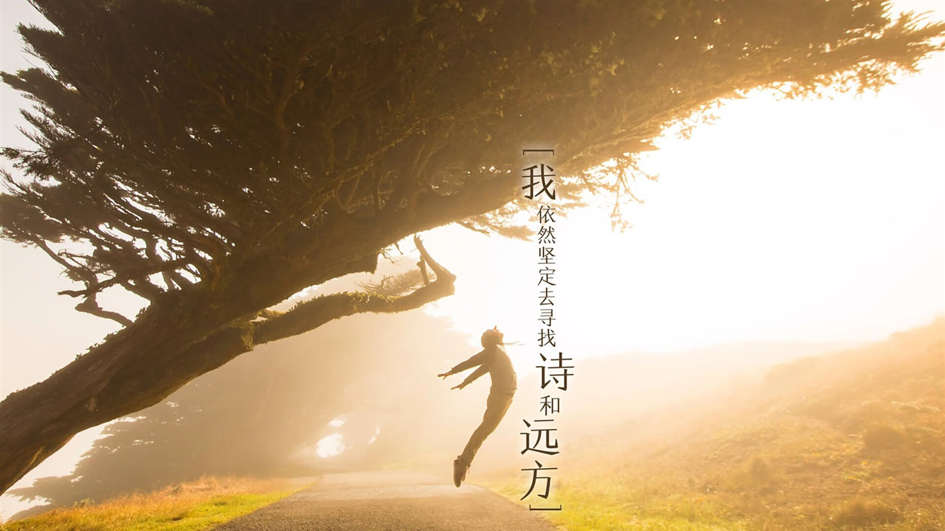 熊猫体育网站入口-南非羚羊队：凭借全员的卓越能力，他们在比赛中不断扩大优势，非洲小羚羊