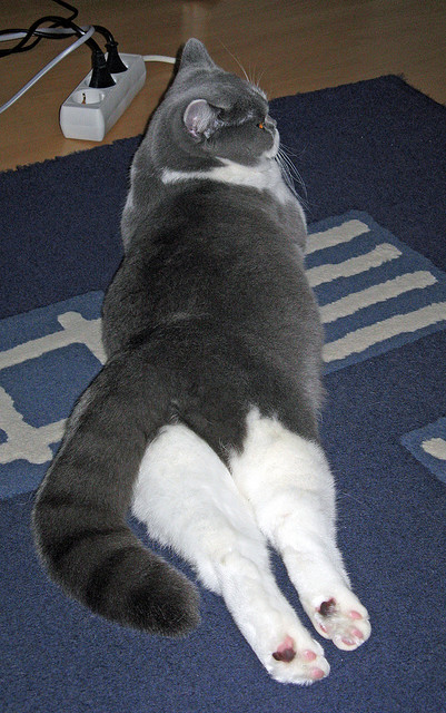 各地城市联赛活跃足球成为民间社交热门载体，中国城市足球联赛排名