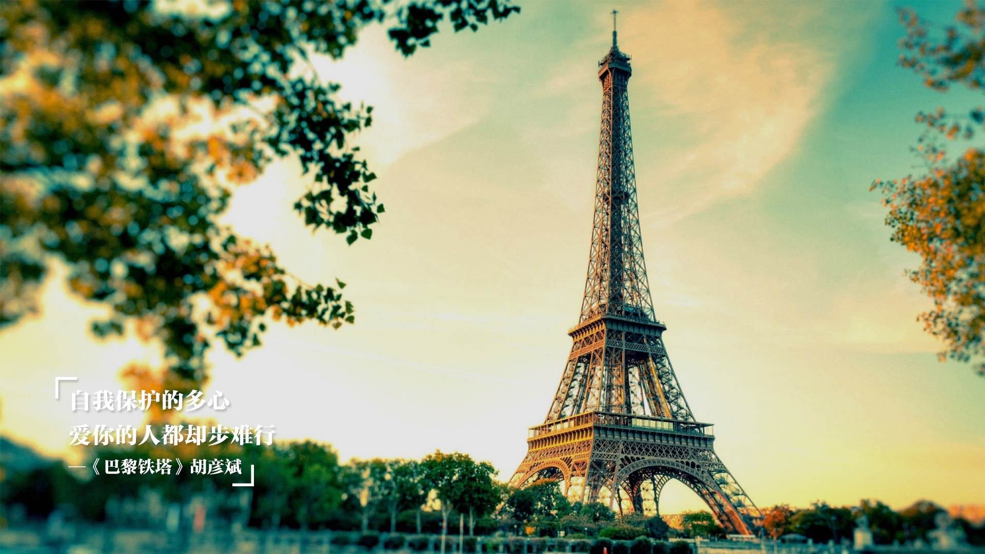 混合泳个人赛奥地利表现全面,混合泳比赛视频